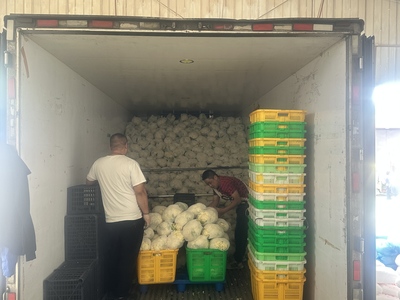 产销直连惠民生 助农增收绘新篇