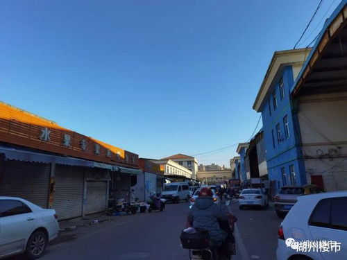 大量现场图直击 浙北农副产品交易中心搬迁进行时