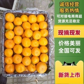 陕西汉中城固县柑桔产地货源直通 少波农副产品购销中心代办服务详解