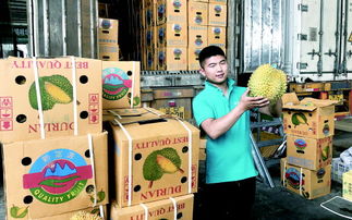 江北地区新枢纽 青岛即墨大信镇水果交易与农副产品购销的崛起