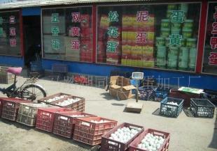 特产咸鸭蛋、鲜鸭蛋、双簧鹅蛋、鹅蛋等_农副产品_世界工厂网中国产品信息库