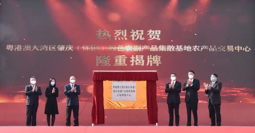 湾区“菜篮子”上新｜肇庆怀集绿色农副产品集散基地交易中心正式开业，绘就购销新图景