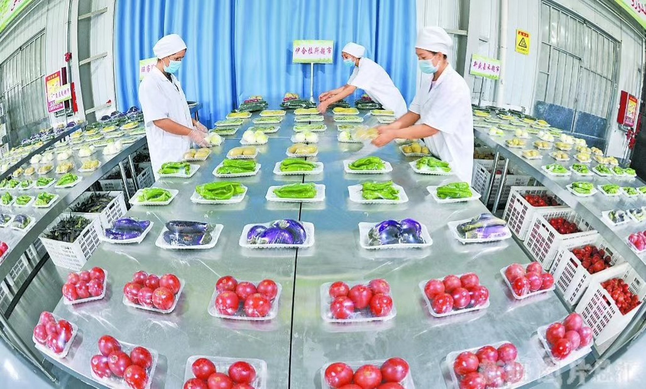 莎车县消费扶贫农副产品购销配送中心助力乡村振兴