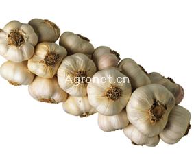 景艾农副产品购销公司 连接城乡，服务三农